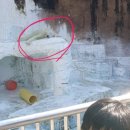 [오사카] 삼남매와 여름 일본여행