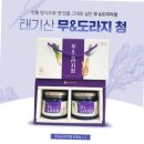 태기산아침의새소리 이미지