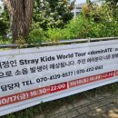 (주)현진씨티 | 스트레이 키즈 콘서트 <dominATE: celebrATE> 후기 (부제: 야외콘 너무 좋다 또 하자)
