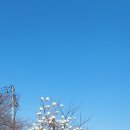 갈맷길(8코스) 이미지