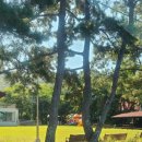 쌍근오토캠핑장 이미지