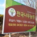 천국나무농원 이미지
