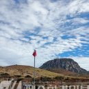 나무가 들려주는 환경이야기 이미지