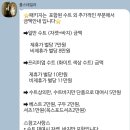 깡스냅 | [제주스냅후기] 제주 웨딩 스냅 현실 비용 공개 제주스냅 비용 총정리 가성비제주스냅