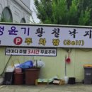 정윤기황칠낙지