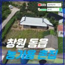 동읍1149 이미지