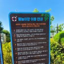 남매공원(보건소옆) | 대구 근교 물놀이장 바닥분수에 수영장까지 있는 "경산 남매근린공원물놀이장"