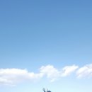 부채길펜션 이미지