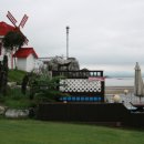 안면도발리 이미지