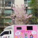 멍즈니랜드 이미지