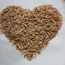 그리고 밥 이미지