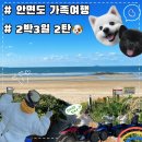 은성레포츠 | [태안안면도여행] 애견동반 2박 3일 가족여행 2탄