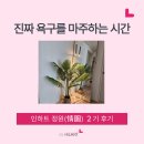 인하트정원 : 감정코칭으로 만난 마음챙김 －２기 후기