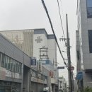 브라운도트사상르네시떼점 이미지