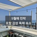바다애민박 | [ 9월애민박 ] 포항숙소추천 포항독채펜션 월포해수욕장숙소 내돈내산후기