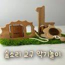 숲소리 교구 악기놀이 후기, 플라스틱 대신 안전한 원목으로!