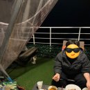 클럽멤피스 글램핑&리조트 이미지
