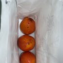 솜씨애드피아 이미지