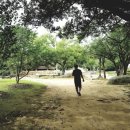 원림초등학교 이미지