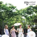 미스타플라워