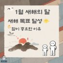 에이스침대 대전월평점 이미지