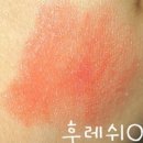 델리킷 | 엔프라니 델리킷 루미너스 립스틱 15 센슈얼 코랄 후기♥