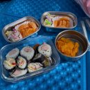 농장 | [주말농장 후기] 용인 그라운드팜