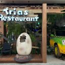 수원-1716 이미지