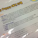 코오롱애견 이미지