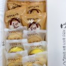 코코소담