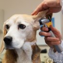 선 동물병원 이미지