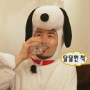 아티니카 이미지