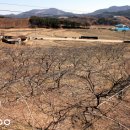 유구농장 이미지