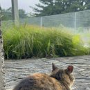 아우토반PC방 이미지