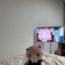 ✨ 그랜드침대 한 달 리얼 후기 ✨
