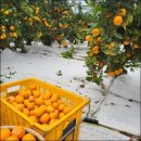 훈훈 농장 이미지