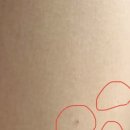 벨다드의원 이미지