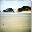 섬사랑펜션민박 이미지