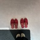 더마름다이어트 | 인천 검단체형교정 더마름 바디핏케어 다이어트기기 관리 후기