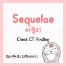 씨콜론