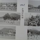 진목초등학교 이미지