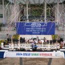 진도군 보배섬 문화예술제 이미지