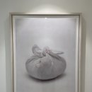 모멘텀헤어라인의원 이미지