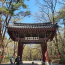 보은 법주사 답사기 (1편)