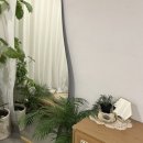 밀라플라