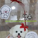 댕유 | 양산애견간식 양산강아지케이크 "댕유" 우리집 개 율무를 위한 간식 선물