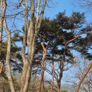 갈계숲화장실 이미지