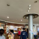 모아온천 | [경기도] 서울 근교 온천 여행 율암온천 노천탕 숯가마 솔직 후기