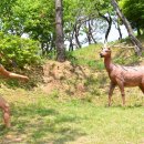 석장리마을공동체협동조합 이미지