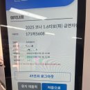 제주도조아 | 제주도 렌트카 후기: 조아렌트카(2025 코나, 더뉴 셀토스)